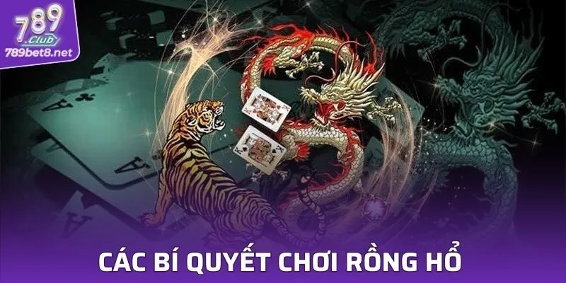 Các bí quyết chơi rồng hổ từ các cao thủ chuyên nghiệp