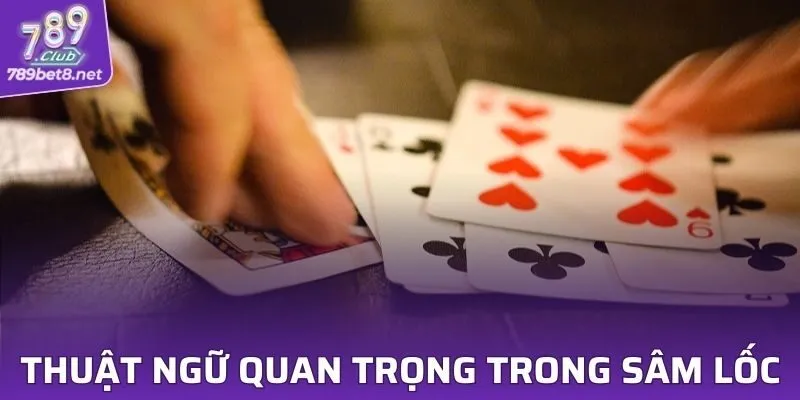 Những thuật ngữ quan trọng khi chơi Sâm Lốc online 789CLUB