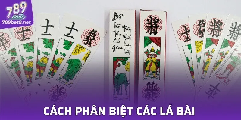 Cách phân biệt các lá bài