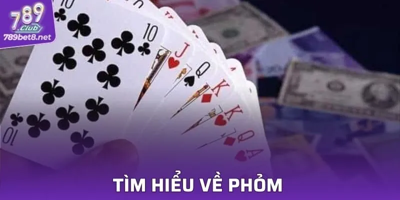 Tìm hiểu về phỏm và các thuật ngữ thường gặp